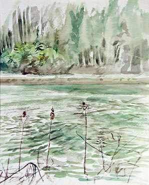 京都の沼｜Jobimによる水辺のスケッチを中心とした水彩画展